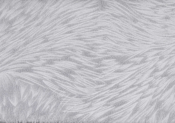 PILLOW - 18"X 18" / LIGHT GREY FEATHERED VELVET / 1PC - Image 4