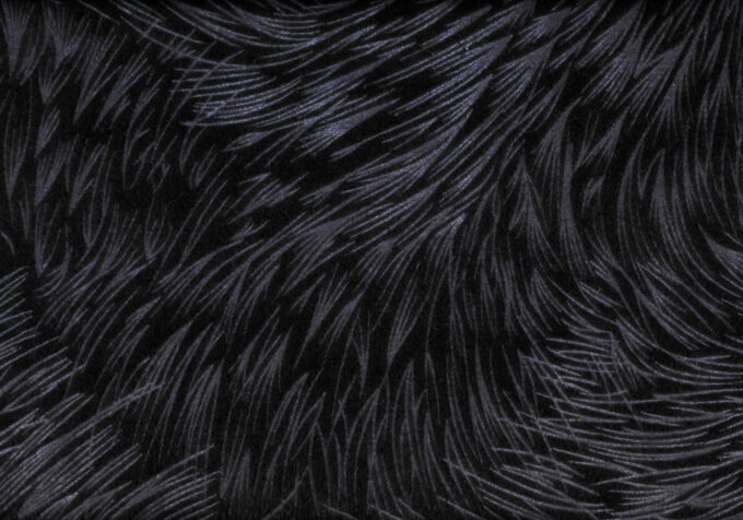 PILLOW - 18"X 18" / BLACK FEATHERED VELVET / 1PC - Image 4